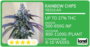 Discovering the Best Marijuana Seeds in Oklahoma Discovering the Best Marijuana Seeds in Oklahoma