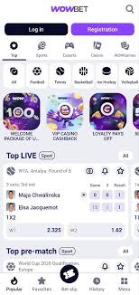 Лучшие казино с фриспинами для азартных игроков