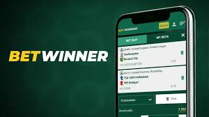 The Ultimate Guide to BetWinner Sports Betting